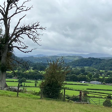 Bed and Breakfast Hares Hideaway At Coed Moelfa Corwen Exterior foto