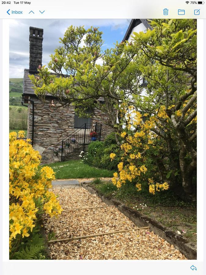 Bed and Breakfast Hares Hideaway At Coed Moelfa Corwen Exterior foto