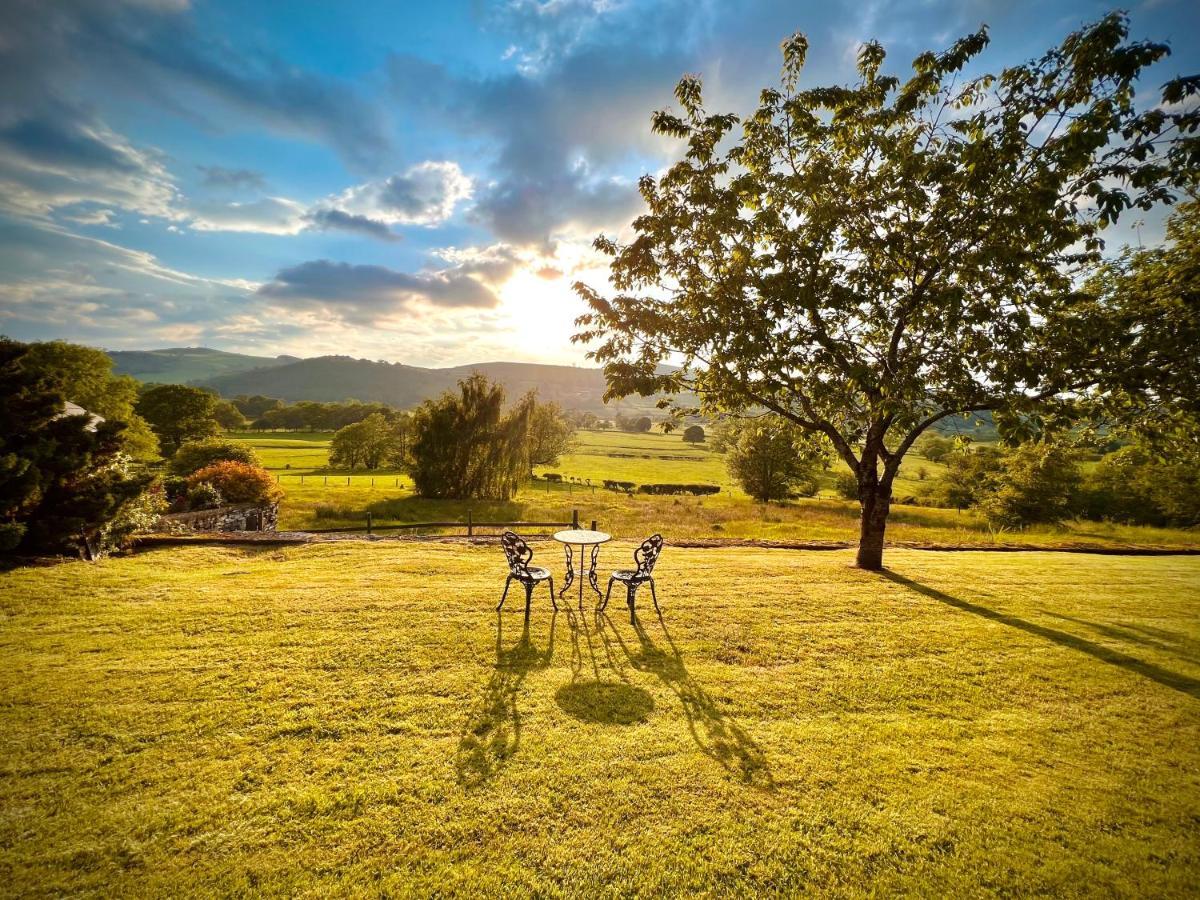 Bed and Breakfast Hares Hideaway At Coed Moelfa Corwen Exterior foto