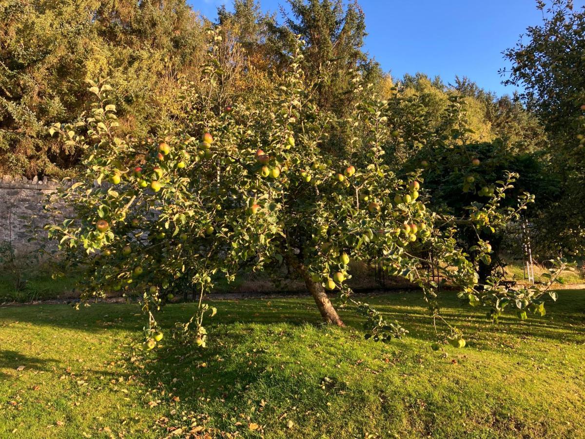 Bed and Breakfast Hares Hideaway At Coed Moelfa Corwen Exterior foto