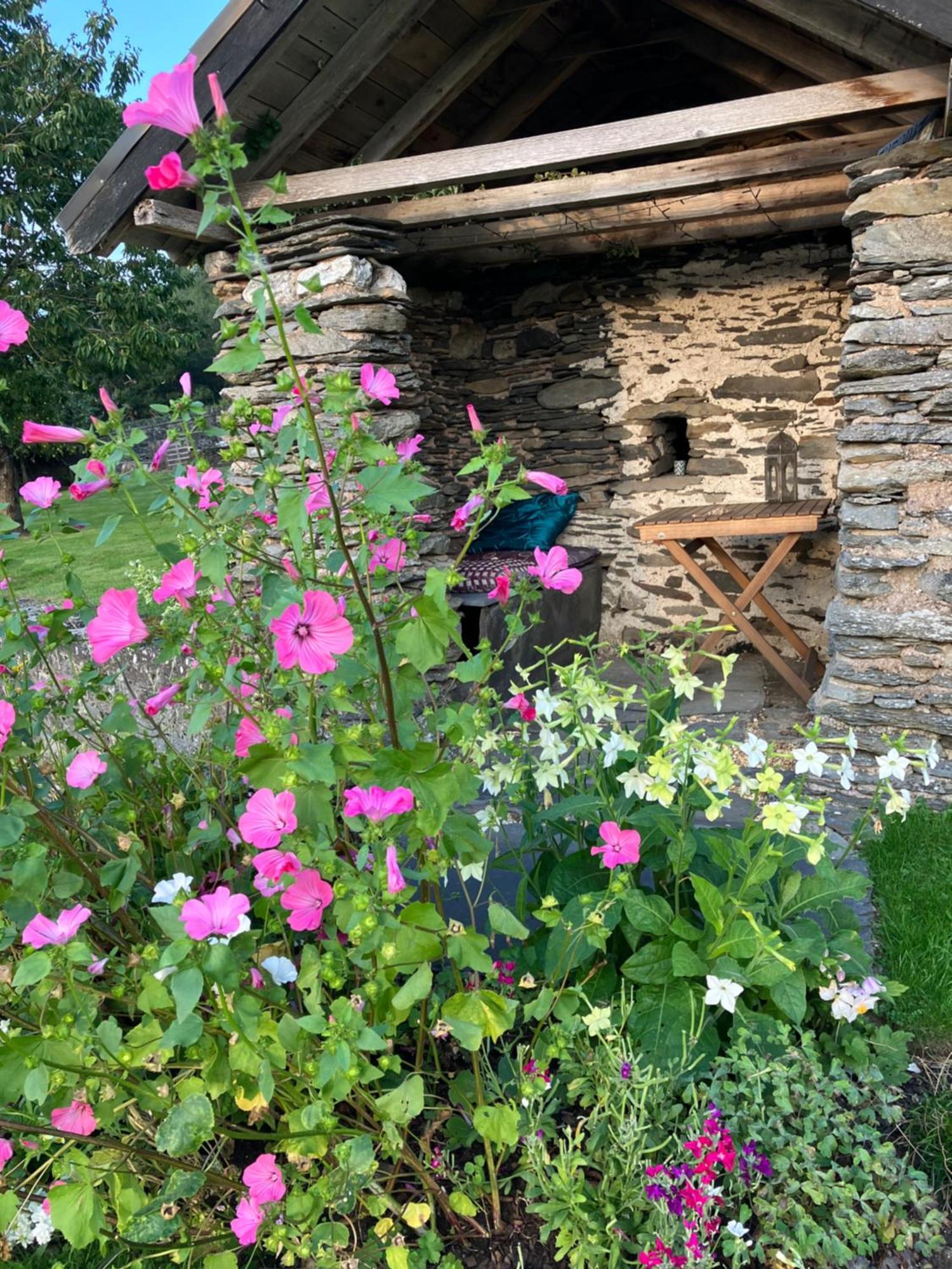Bed and Breakfast Hares Hideaway At Coed Moelfa Corwen Exterior foto
